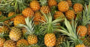 Pineapple